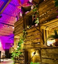 SCHEIDINGSWAND FRUIT CRATE OP WIELEN