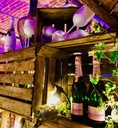 SCHEIDINGSWAND FRUIT CRATE OP WIELEN