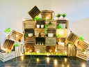SCHEIDINGSWAND FRUIT CRATE OP WIELEN