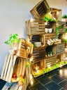 SCHEIDINGSWAND FRUIT CRATE OP WIELEN