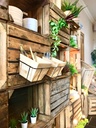 SCHEIDINGSWAND FRUIT CRATE OP WIELEN