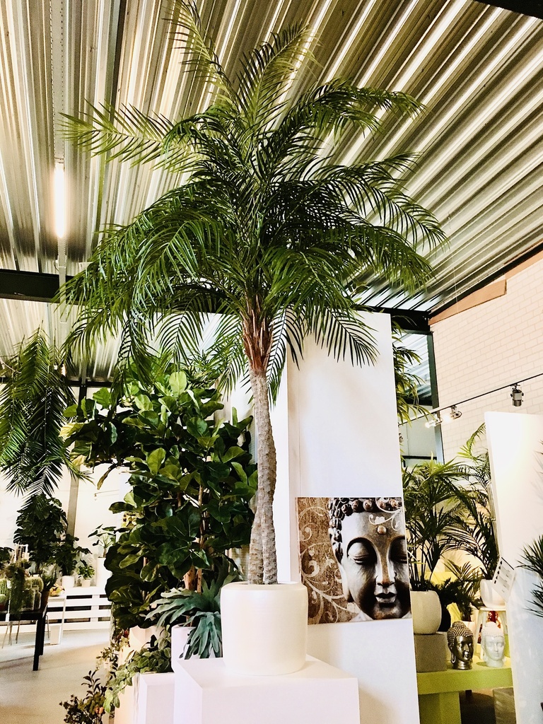 KP PHOENIXPALM H290 KUNSTPLANT