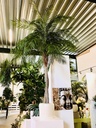 KP PHOENIXPALM H290 KUNSTPLANT
